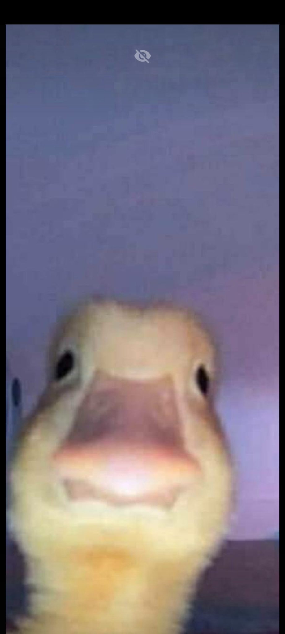 Gary the duck:;;:;:;:; - meme