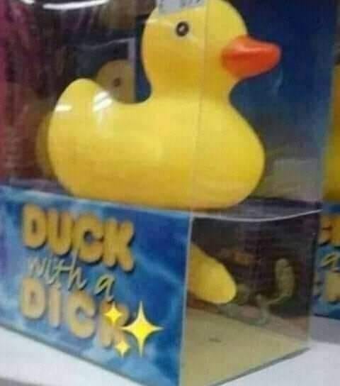 duck with a dick - meme