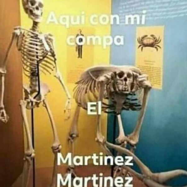 Martínez Martínez - meme