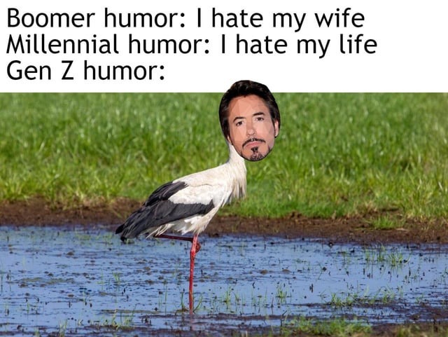 Gen Z humor - meme