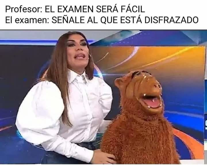 Título - meme