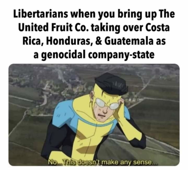 No government is anarchy. The idea is to have small government, some loose framework of order - meme