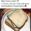 Bread almost as mouldy as this meme