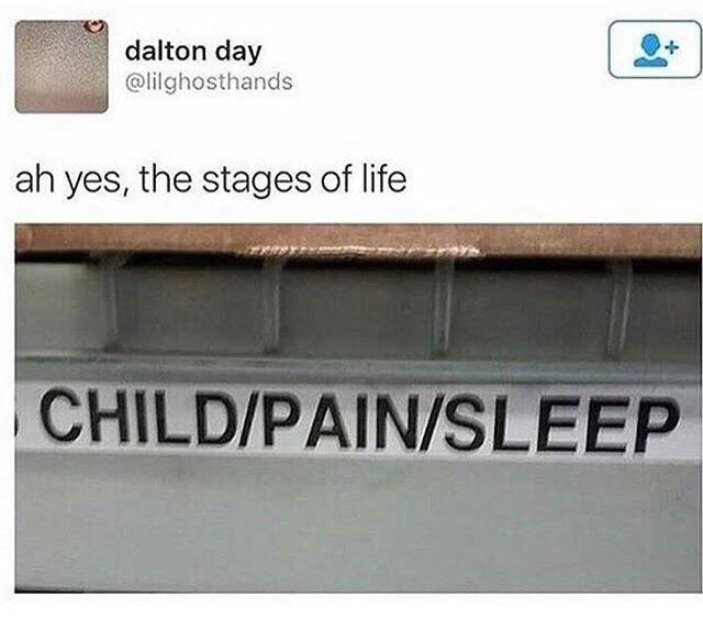 The stages of life: Child, Pain, Sleep. - meme