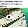 Talking Afrikan grass