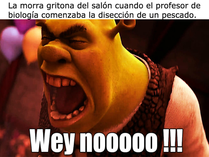 grito #shrek #meme #fy kkkkk dêem as suas notas