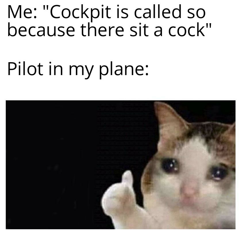 Poor pilot - meme