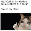 Poor pilot
