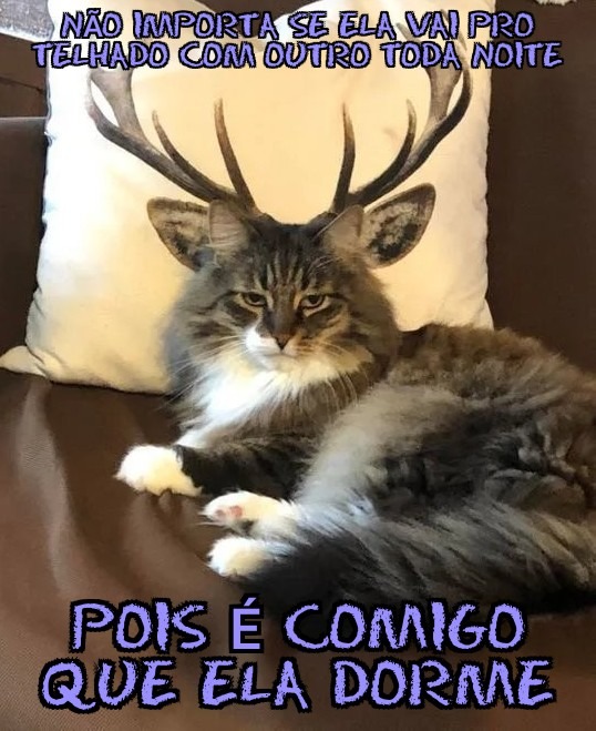 Entendeu? Se não e tendeu vai tomar no cu - meme