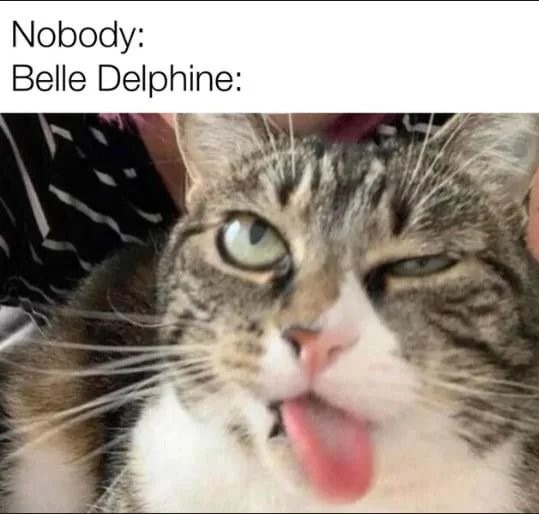 bella delphine Memes & GIFs - Imgflip