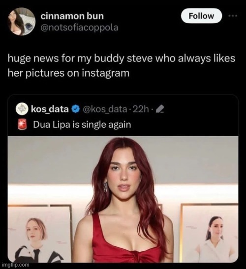 Dua Lipa is single again, good luck steve - meme