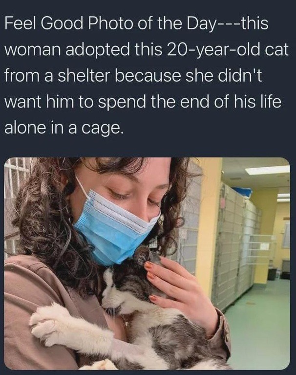 Feel good Photo - meme