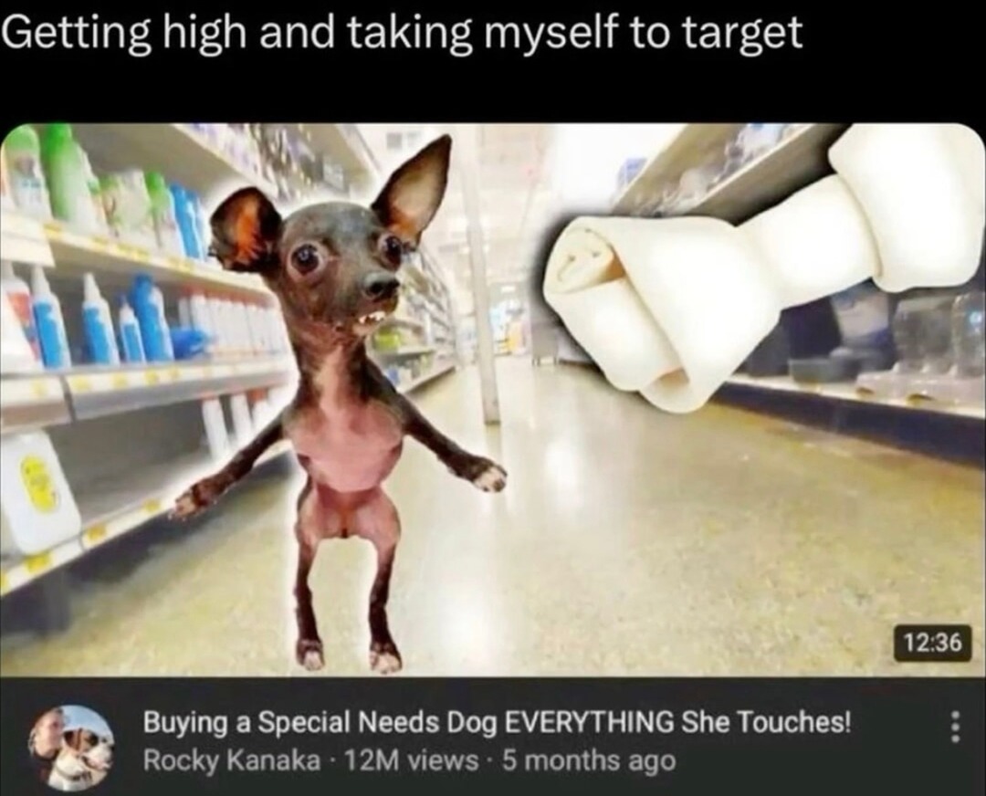 got high and made Target feel like Disneyland - meme