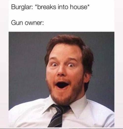 gun owner - meme