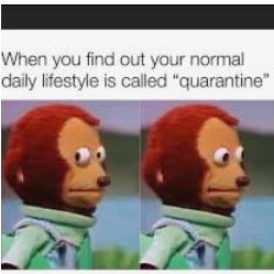 great quarantine - meme