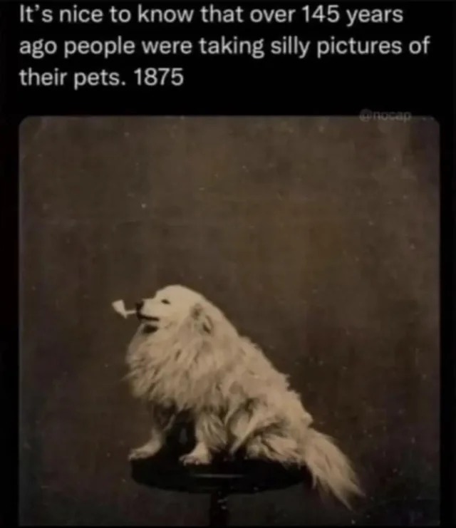 Nah I'm pretty sure dogs smoked back then - meme
