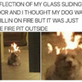 fire dog
