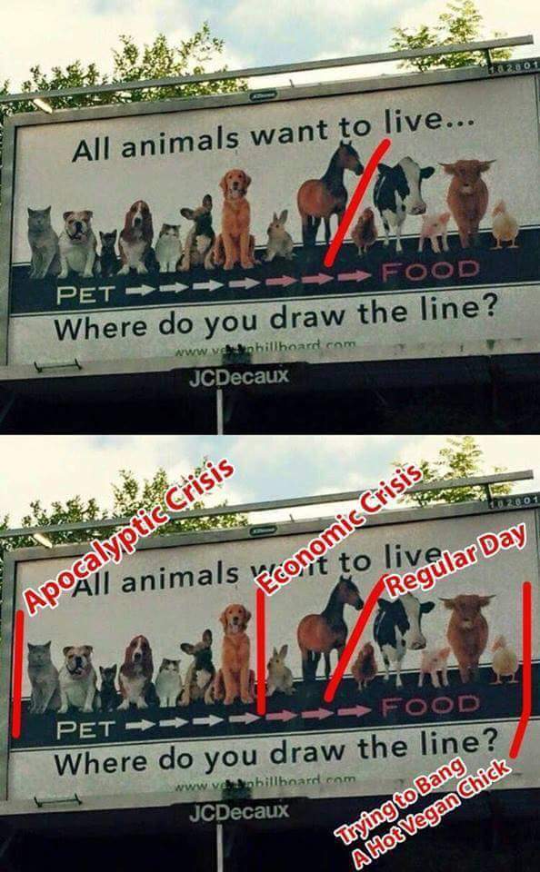  where Do You Draw The Line Meme By Dox Memedroid