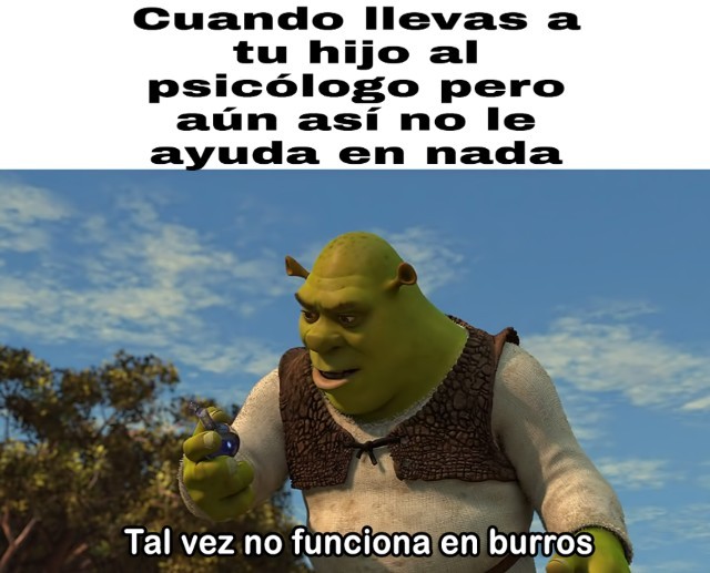 Burros - meme