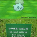 Tiny grass