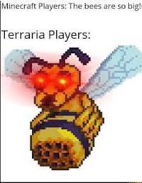 Scary bee - meme