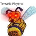 Scary bee