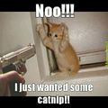 kitty criminal...