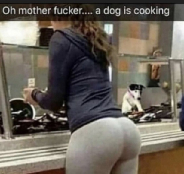 un perro cocinando............................epico - meme