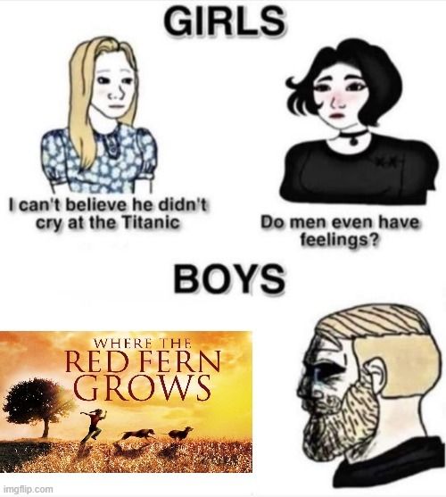 Such a great book tho - meme