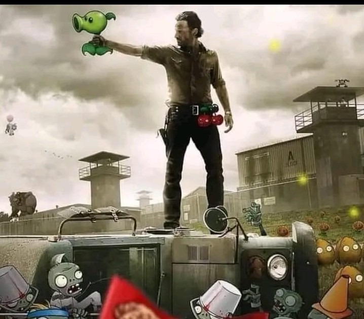 Xd - meme