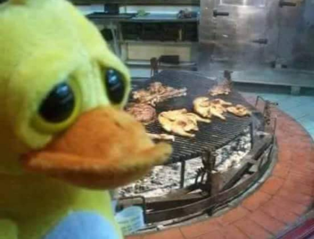 pobre patito - meme