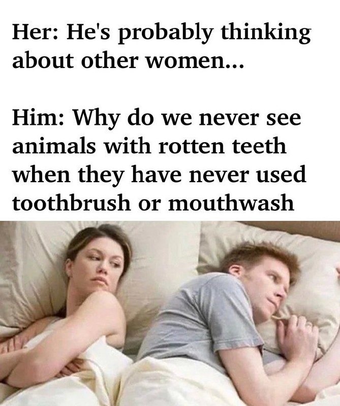 Her: he's probably thinking of other girls. Him: Why don’t animals get cavities? - meme