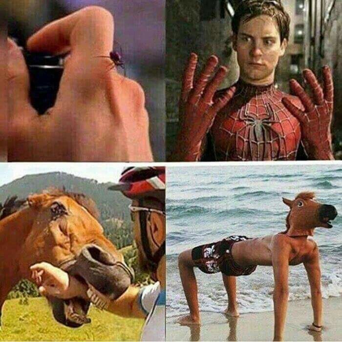 Horse man - meme