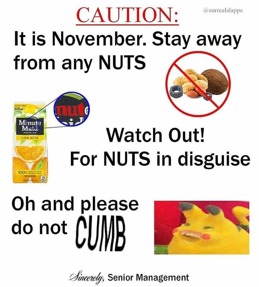 ONLY 4 DAYS LEFT BOYS I HAVENT BUSTED A NUT IN MY LIFE, YOU CAN HOLD IT FOR 4 DAYS - meme