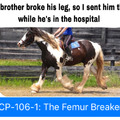 Some OC: My brother was trying out a more energetic horse, who proceeded to throw him into a 6x6 fence pole