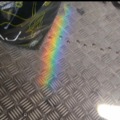 El piso del bus se volvió homosexual
