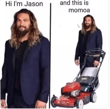 this is momoa - meme