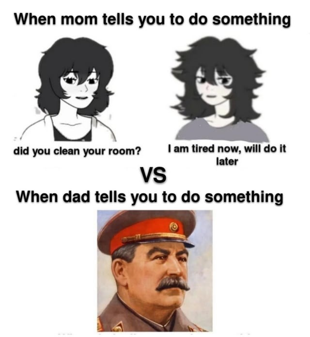 dad vs mom - meme