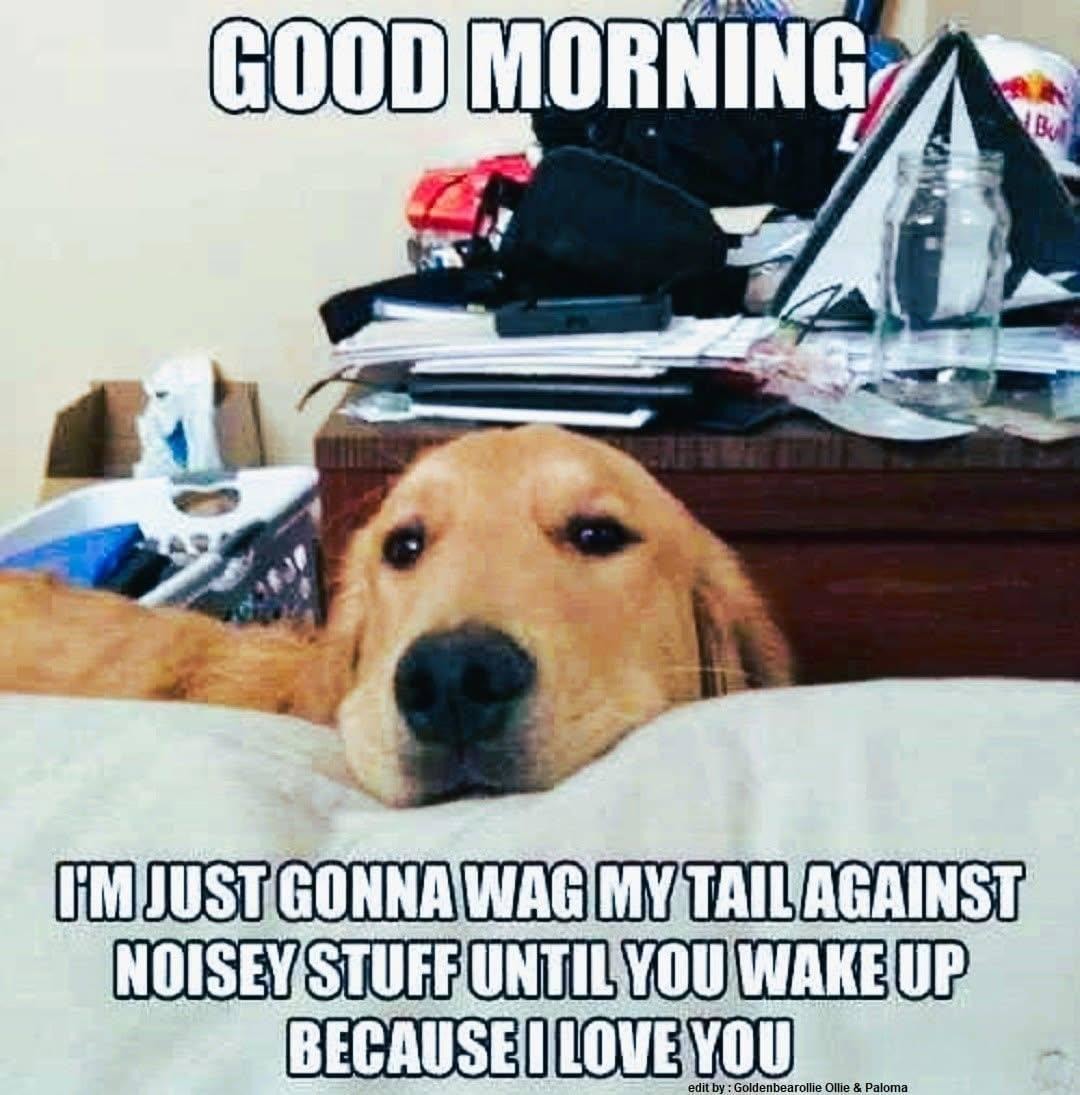 Good morning to everyone except people making noise before 8am - meme