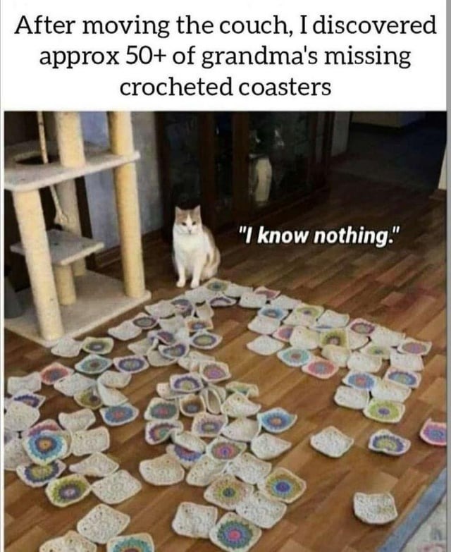 Cat memes for life