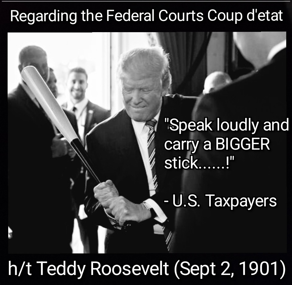 Judiciary Is Out Of Control - meme