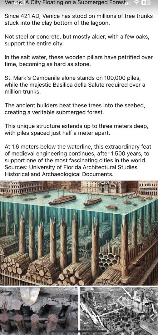 Venice literally floats on a prehistoric tree army - meme