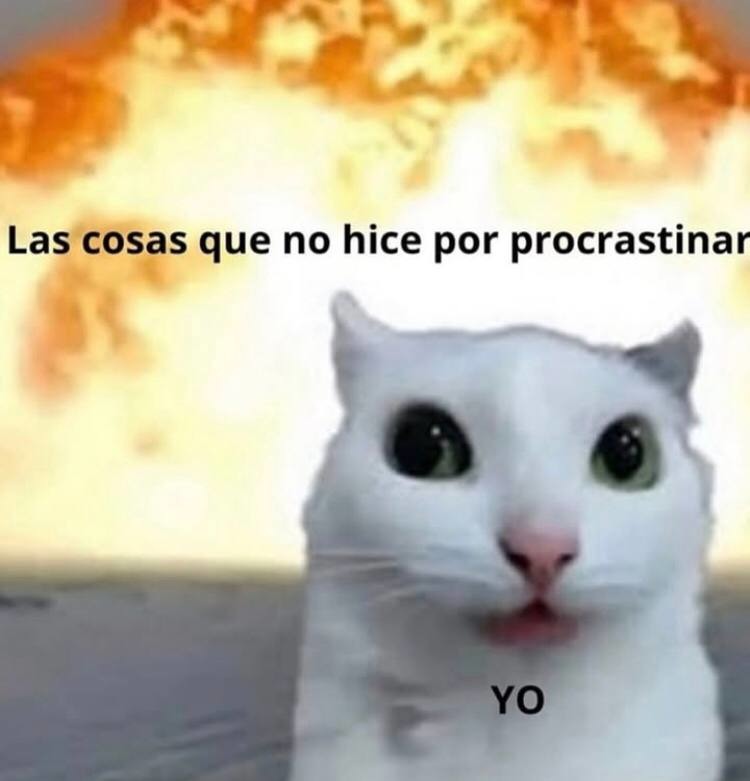 Todo lo que no hice por estar diciendo luego lo hago - meme