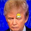Trump-Homer eye