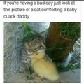 Title is your Kitten, You are my Quack Daddy