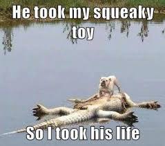 dont mess with da squeaky toy!!! - meme