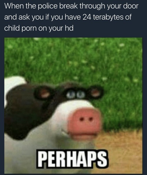 Perhaps - meme
