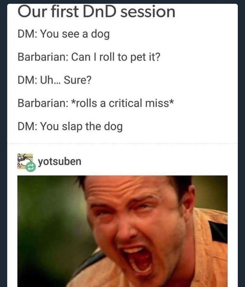 Not the dog! - meme