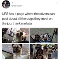 Mail Doggos