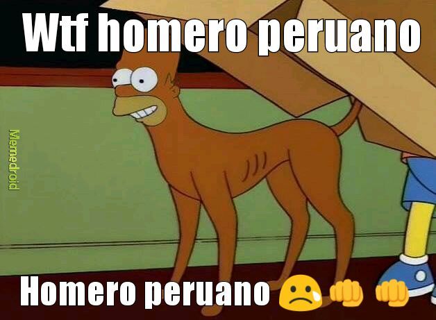 Homero peruano homero peruano - meme